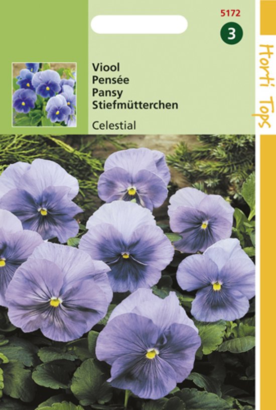 Viool Celestial (Viola wittrockiana) 300 zaden